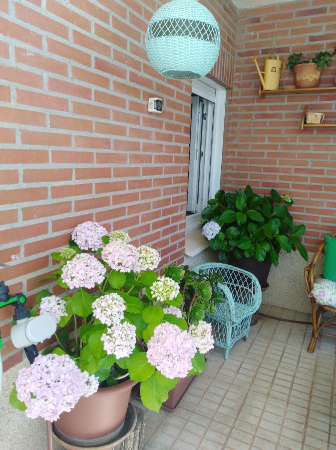 Apartamento Principe Cáceres Exterior photo