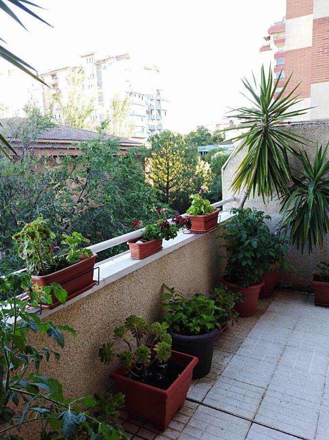 Apartamento Principe Cáceres Exterior photo