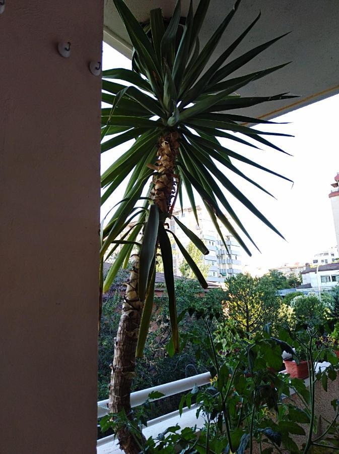 Apartamento Principe Cáceres Exterior photo